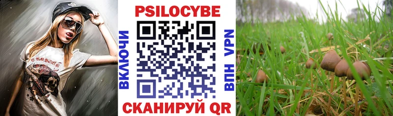 Купить где  Инза  Галлюциногенные грибы Psilocybine cubensis 